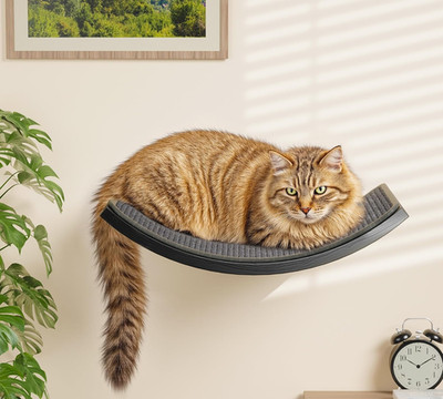Curved Gray Cat Wall Shelf with Sisal Mat - Hammock for Large Cats