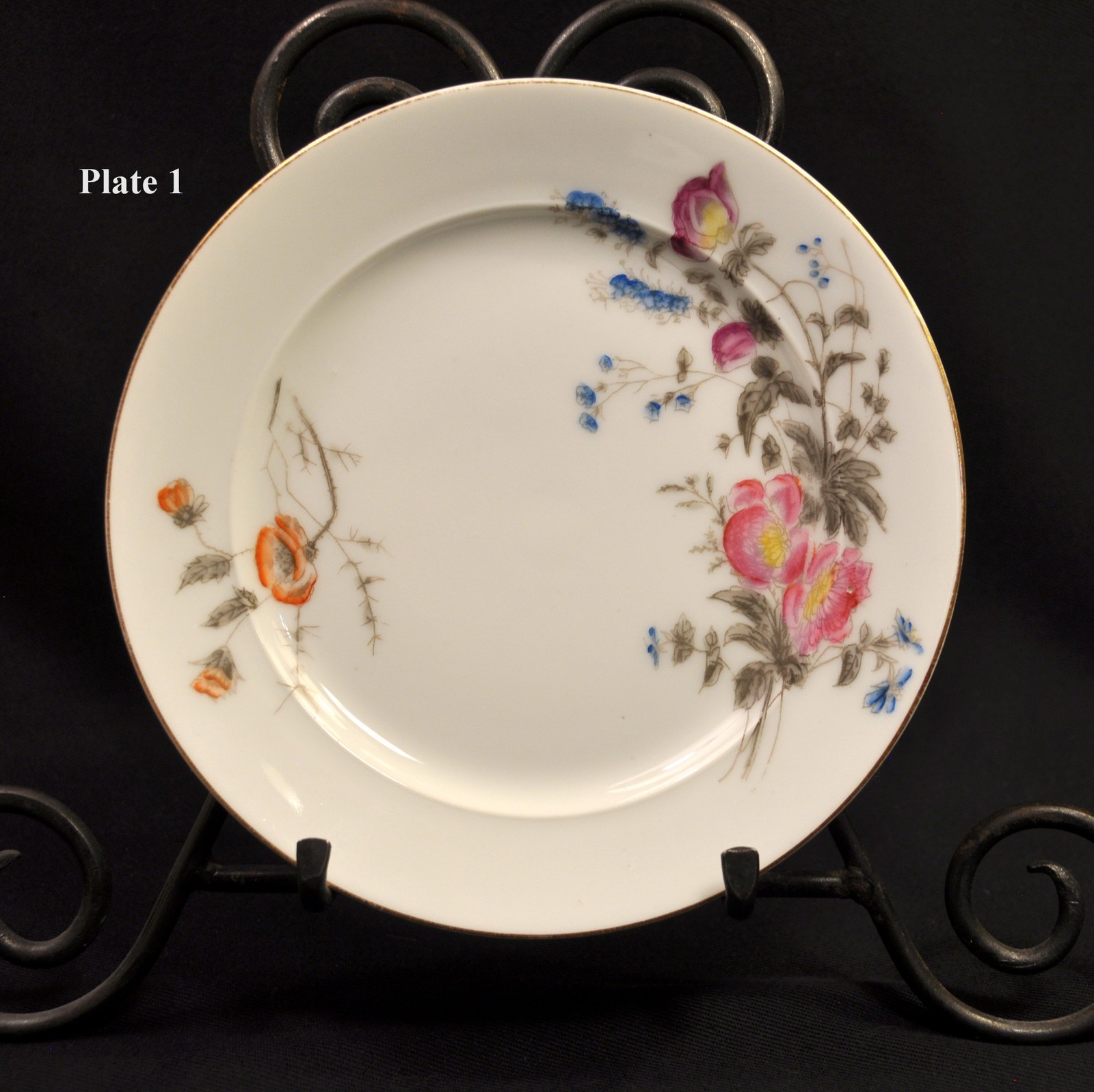 CFH Charles Field Haviland Limoges Set 7 Salad Plates Wild Flowers 1868-1881 HTF