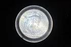 Sealed and Uncirculated 2010 Walking Liberty Silver Dollar, 1 Troy oz silver