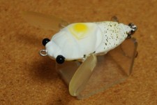 Tiemco  Trick Trout Cicada Magnum TT CMG        (T241AG