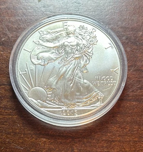 2013 American Silver Eagle Coin. Brilliant Uncirculated .999 Silver w/case