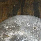 Picture 10 of 14