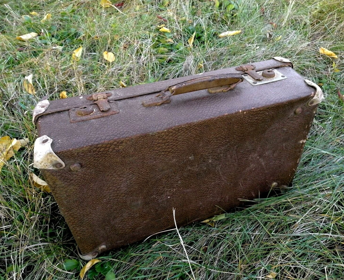 Vintage travel cheap case luggage