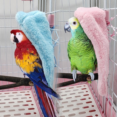 parakeet shop