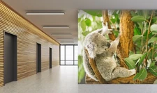3D Koala Woods K351 Animal Wallpaper Mural Self-adhesive Removable Kay