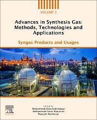 Fortschritte im Synthesegas: Methoden, Technologien und Anwendungen Rahimpour