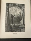 Picture 9 of 9