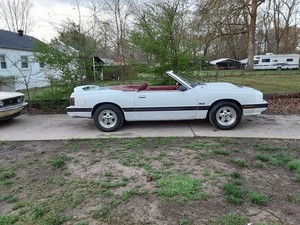 1979 Ford Capri Cabrio - inkl.verschiffung bis Rotterdam ...