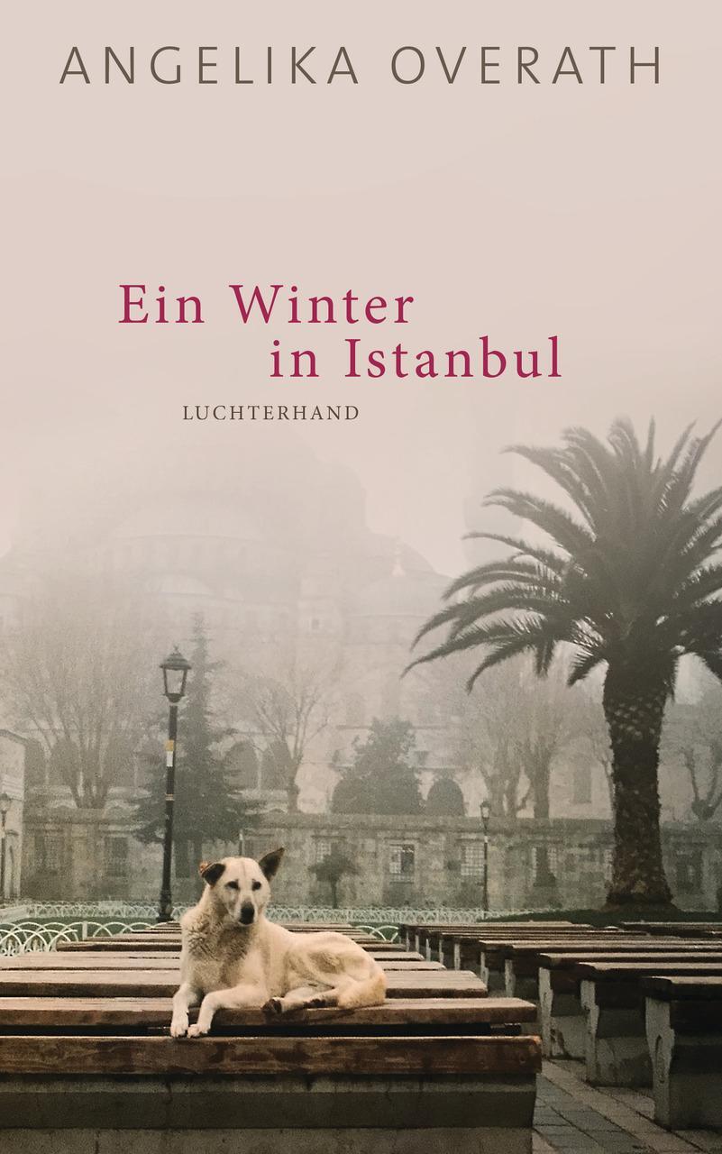 Thumbnail - Ein Winter In Istanbul - Angelika Overath - 9783630875347