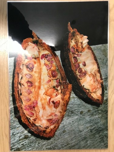 International Primary Curriculum Milepost 2: Educational Learning Pack Photocard - Picture 2 of 8