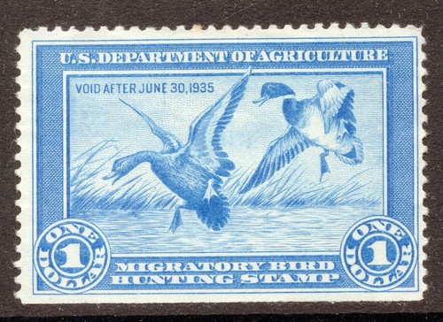 USA Hunting Permit Duck Stamp RW1 1934 $1 blue unused shallow hinge thin CV $175