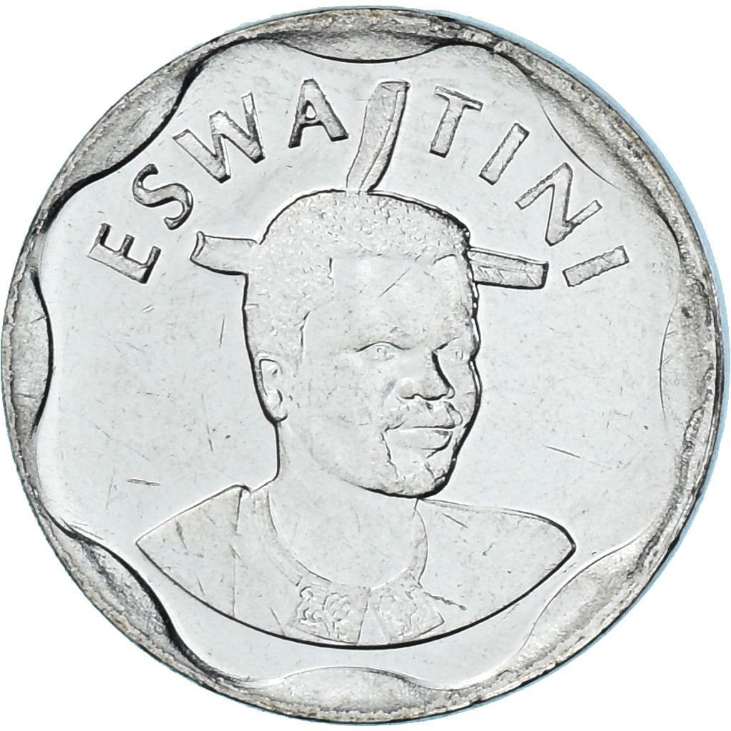 Foto 6 di 6