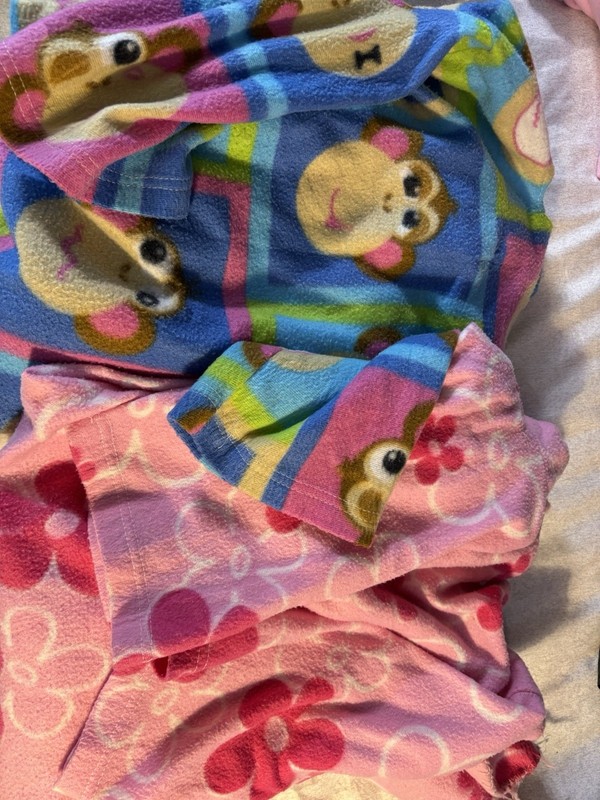 Y2K Vintage Snuggies. Paul Frank Monkey And Pink Flower Power. Both Small