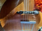 Picture 10 of 11