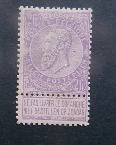 Belgium - Belgium 1893: No. 66 * MH - CAT.: €90.00 fine beard