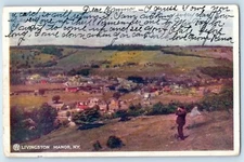 c1907 Manor New York NY Vintage Postcard Livingston Exterior View Field Posted