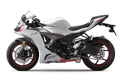 オフホワイト 2024 Kawasaki Ninja ZX-6R off white Motorcycle | 24x36 inch POSTER