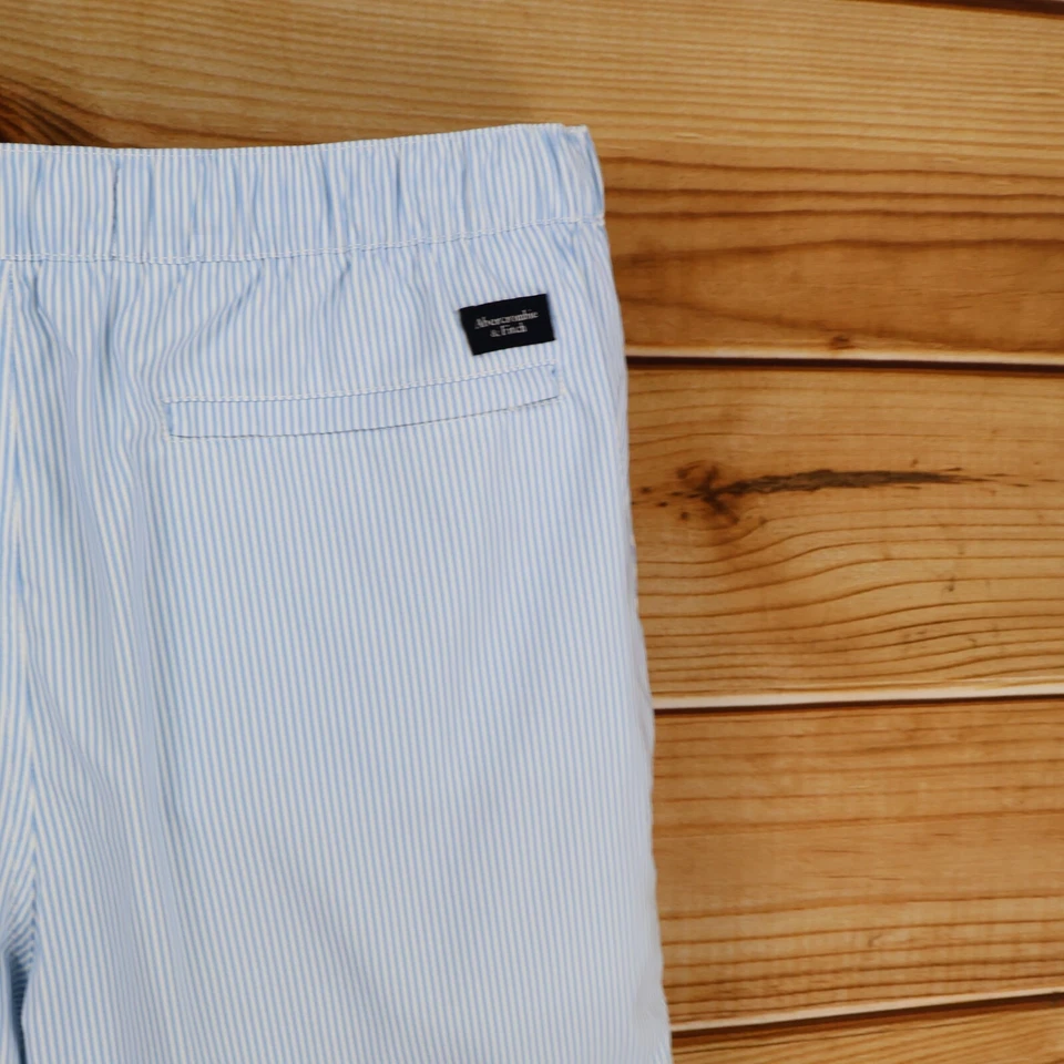 Abercrombie & Fitch The A&F 度假短裤男式 XL 蓝色白色条纹弹力新品 — 第 3/4 张图片