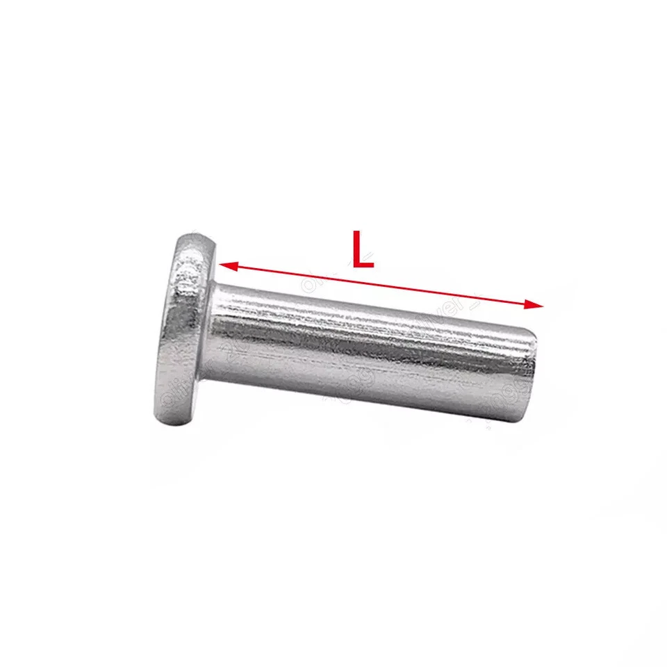 Rivetti a testa piatta in acciaio inox 304 rivetti completi M2 M2,5 M3 M4 M5 M6 - Immagine 2 di 4