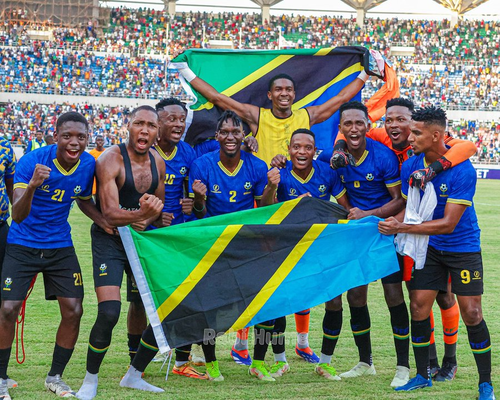 CAMISETA DE FÚTBOL DE LA SELECCIÓN NACIONAL DE TANZANIA CAMISETA DE FÚTBOL NE... - Imagen 8 de 8