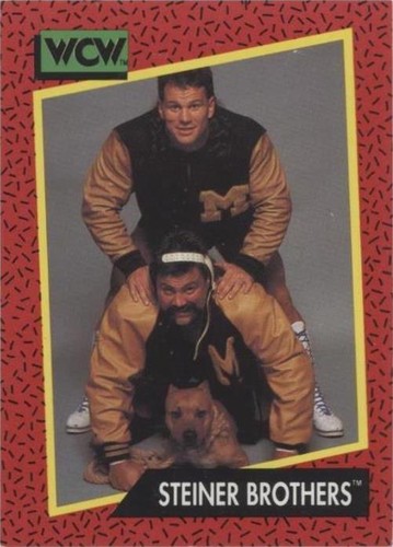 WCW Steiner Brothers Jacket Size Large Vintage 90s Wrestling | eBay