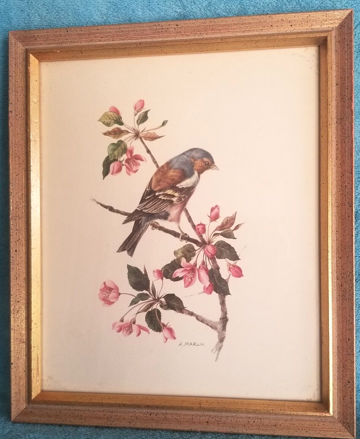 Picture 1 of 5