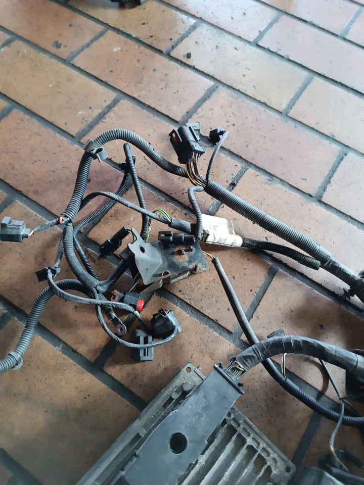 Cablaggio centralina motore Ford Fiesta V JD JH S118763005D 4S6112A650JC - Immagine 4 di 4