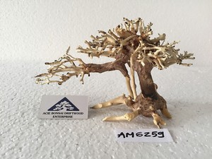 Mini Driftwood Bonsai Aquarium Moss Tree For Shrimp Nano Freshwater Tank Am6259 Ebay