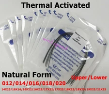 Dental Ortho Arch Wire Thermal Activated Niti Round Rectangular Natural Form