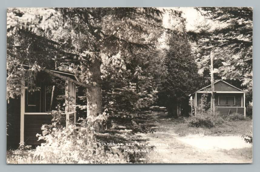 Red Apple Cabins MACWAHOC Maine RPPC Aroostook County Real Photo 1950s eBay