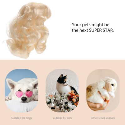Hundeperücke Halloween-Kostüme Medium Haustierperücken Für mode Kleine