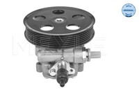 Meyle Servopumpe Hydraulisch FüR Audi A4 Cabriolet 8H7 B6 8HE B7 8E5 8E2