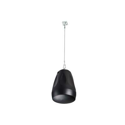 Cloud CVS-P42TB 4,25'' Anhänger Lautsprecher