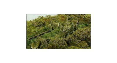 Model Scene F801 Mini Diorama 18x28cm Alter Windbruch