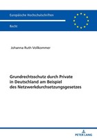 Grundrechtsschutz Durch Private In Deutschland Am Beispiel Des...
