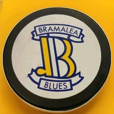 BRAMALEA BLUES VICEROY MFG. RARE MADE IN CANADA VINTAGE OFFICAL HOCKEY PUCK GEM