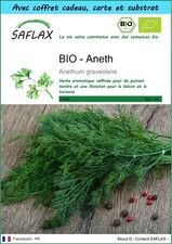SAFLAX Kit cadeau - BIO - Aneth - 700 graines - Anethum