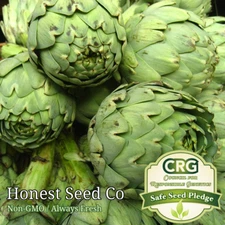 50+ Green Globe Artichoke Seeds | Non-GMO | Heirloom | Fresh Garden Seeds