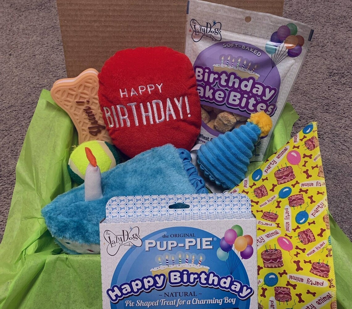 Dog Birthday Party Supplies - Dog Birthday Box - Puppy Birthday Gift For  Dogs | Ebay