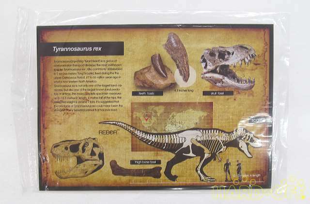 REBOR KILLER QUEEN Plain Tyrannosaurus History Used shipping from Japan No.60 | eBay