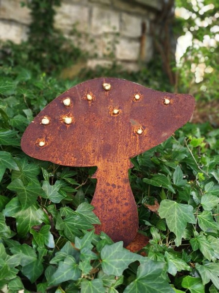 Edelrost Pilz Mit Goldpunkten SchräGe Kappe Herbstdeko Pflanzen Gartendeko Rost-image