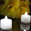 Set-of-12-Snow-White-LED-Xmas-Tealight-Nativity-Candles-by-PK-Green thumbnail 1