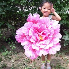1X Big Silk Flower Artificial Fake Peony Dance Wedding Party Festival Decor New