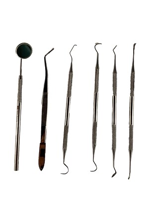 Student Diagnostic Medical Kit -Dental Scalers+Explorer-Plaque Remover Hygienist