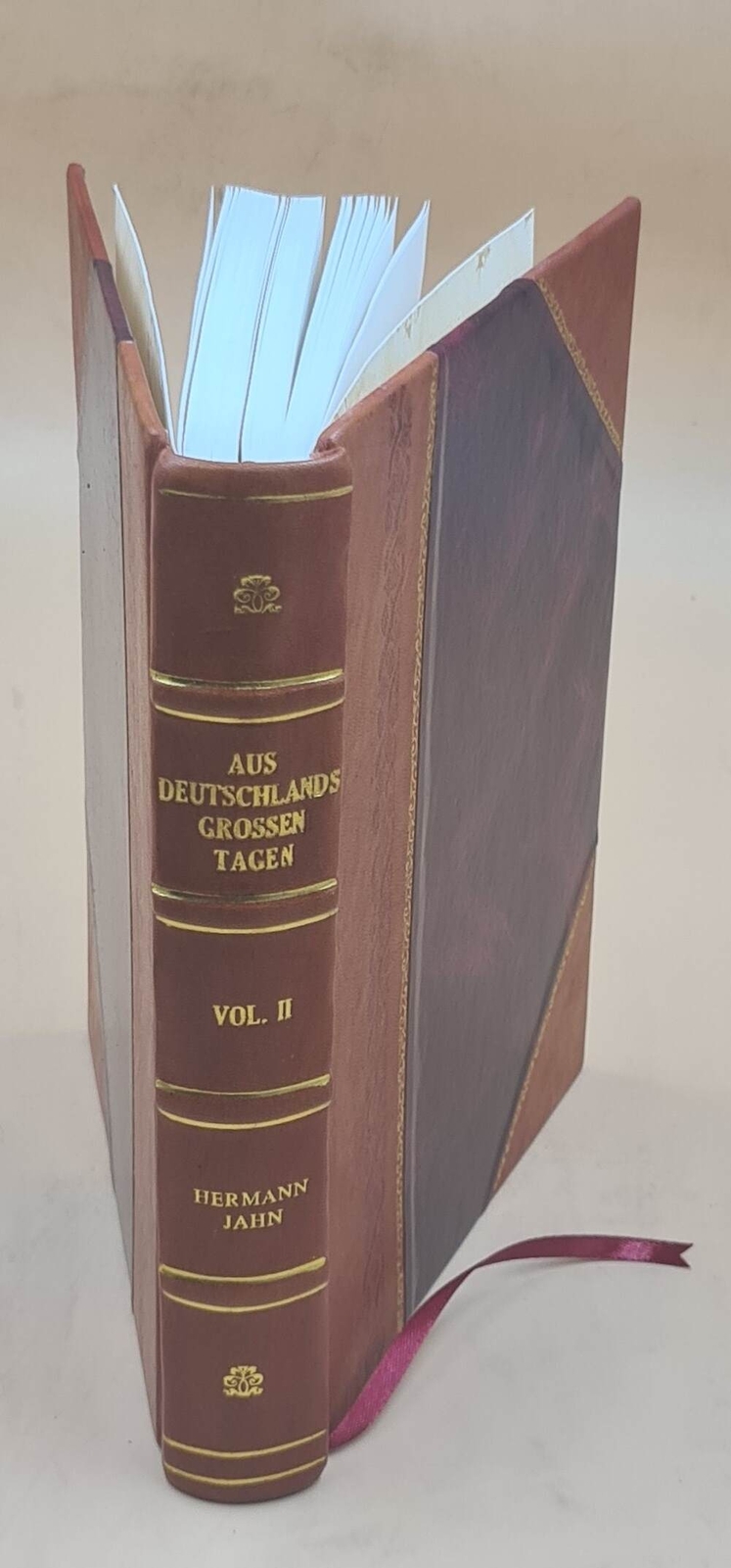 Aus Deutschlands grossen Tagen - Erlebnisse eines 24e Vol-2 1896 Leather Bound Edition