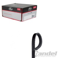 Gates MICRO-V Keilrippenriemen 3PK730 Passend FüR Ford Ranger | 3PK730