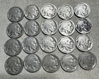 1919 Buffalo Nickel 1/2 Roll 20 1919 Partial Dates Buffalo Nickels