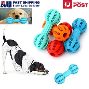 dog toys dental health