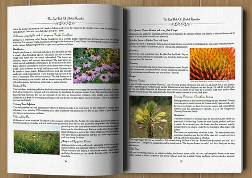 The Lost Of Book Herbal Remedies The Power of 800 Plants Medicine Paperb - Bild 3 von 10