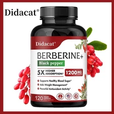 Berberine Hydrochloride Capsules - Immune System Health and Blood Sugar Balance